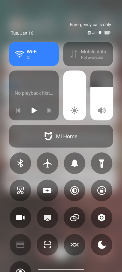 Coconut Bank love screenshot