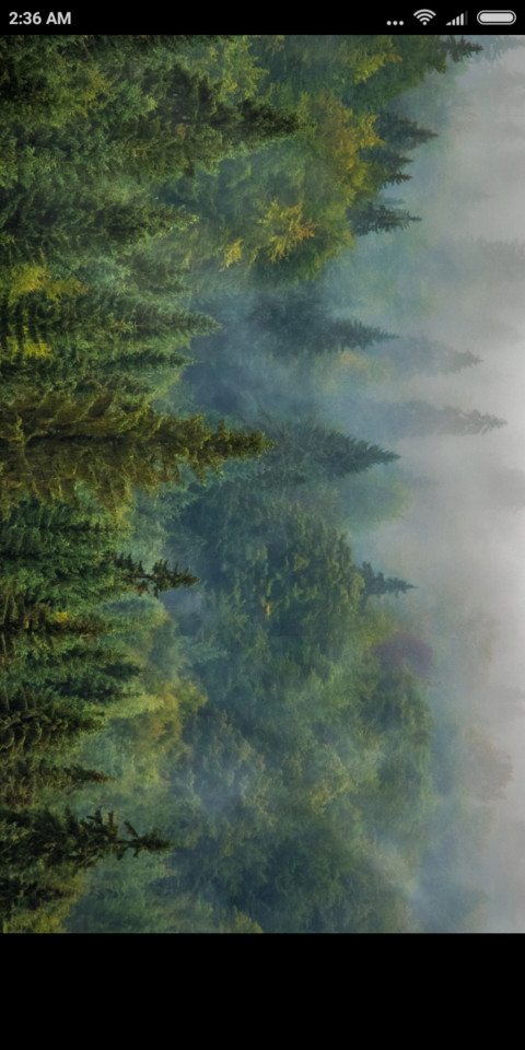 Forest Secret screenshot