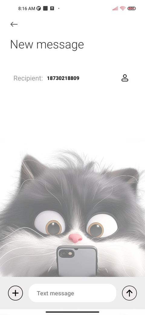 Cute black cat screenshot