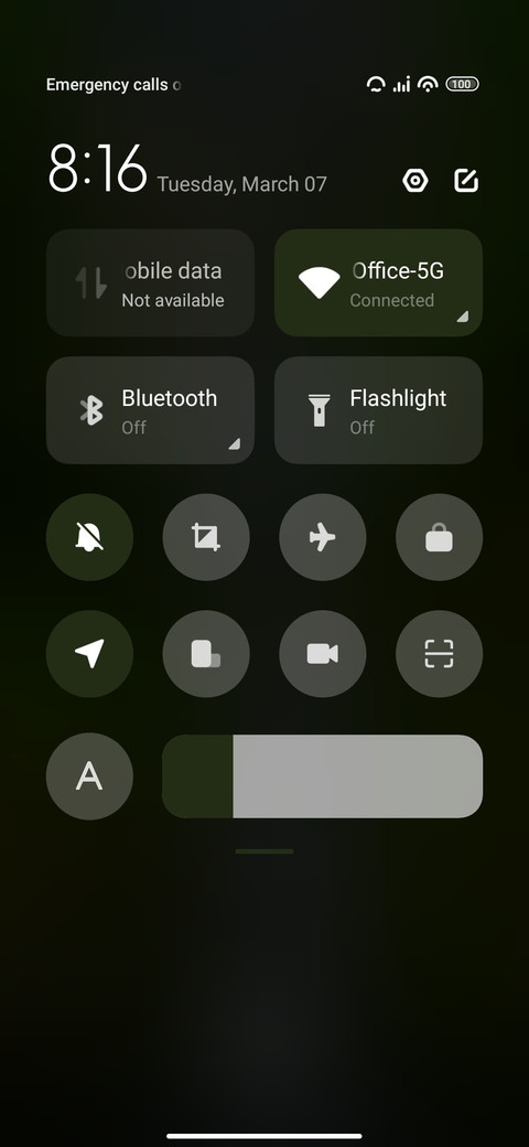 Bridge screenshot