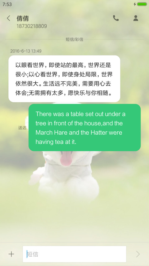 卖萌的狗狗 screenshot