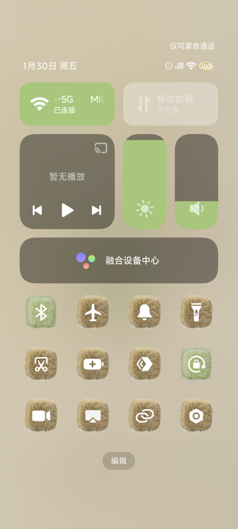 Pro 毛绒绒圣诞颂歌 screenshot