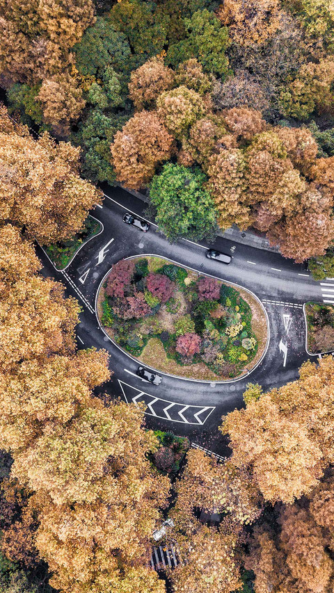 Enhanced aerial depth of field 3 screenshot