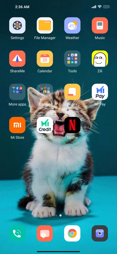 Cat mod screenshot