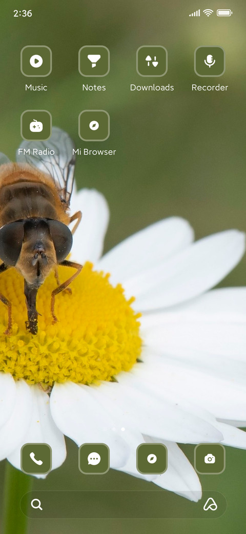 Insect screenshot