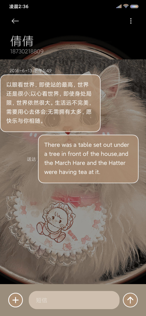 笨蛋小猫 快开门吖 screenshot