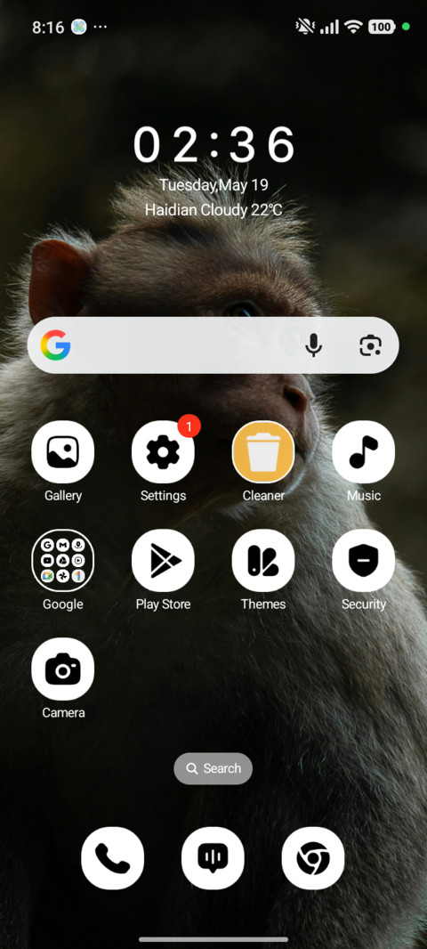 Curious Eyes screenshot