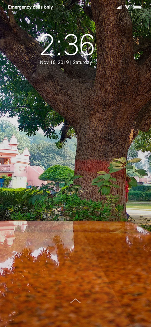 Tree Reflection_DWM3 screenshot