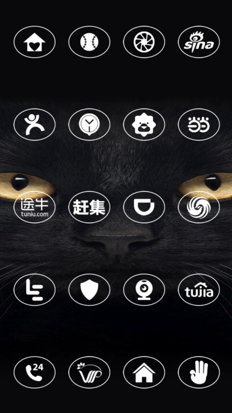 Cat screenshot