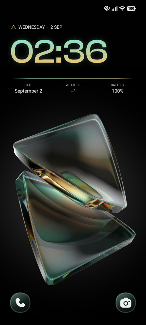 Floral Reflections screenshot