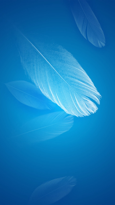 Nice Quill screenshot
