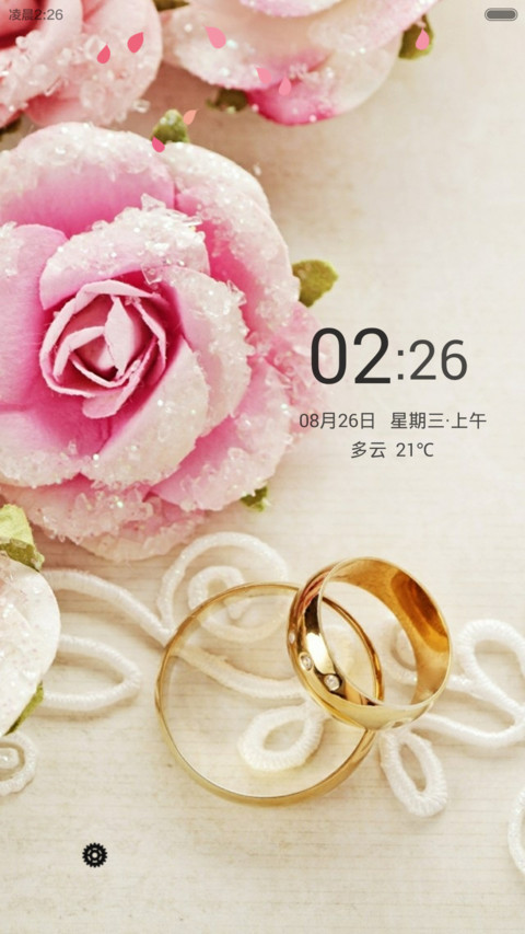 心动一刻（花瓣动态效果+全图标） screenshot