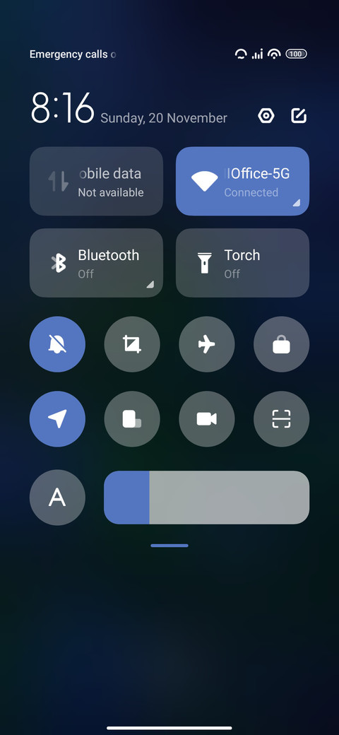Tulips screenshot
