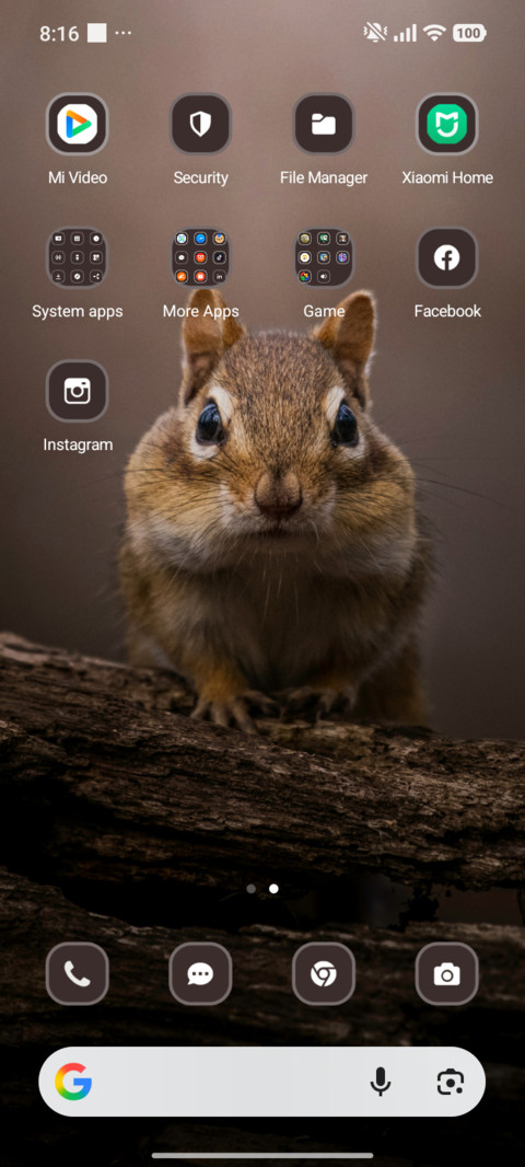 Cute Squirrel screenshot