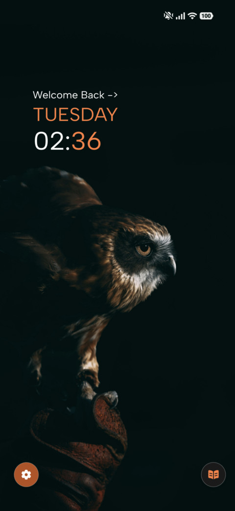 Night Owl screenshot
