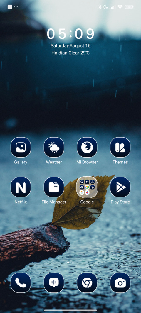 Dry Leaf screenshot
