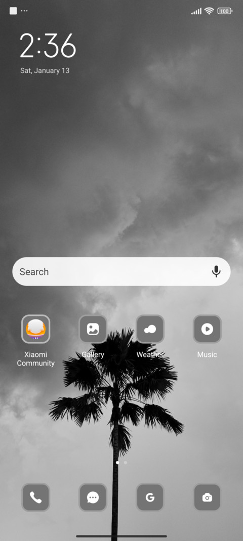 Palm Tree screenshot