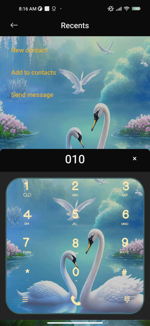 Dream Swan Lake screenshot