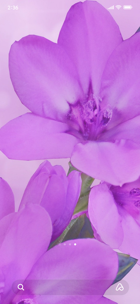 pastel blossom screenshot