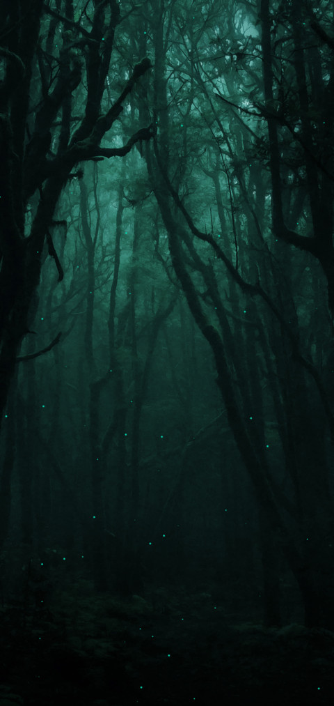 幽暗森林 screenshot