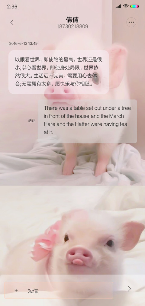 猪年福运 小香猪 screenshot