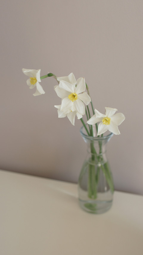 Bouquet of white daffodils screenshot