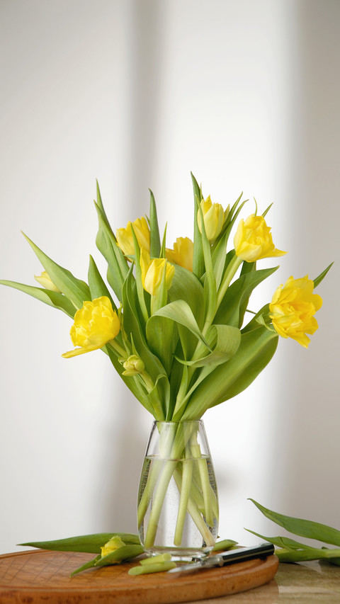 Easy to learn flower arrangement tutorial 7 screenshot