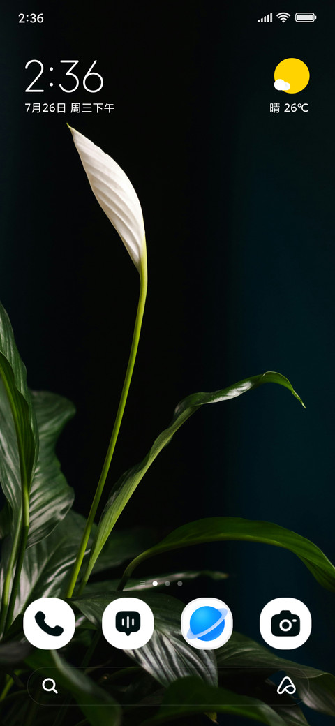 Ivory Blossom screenshot