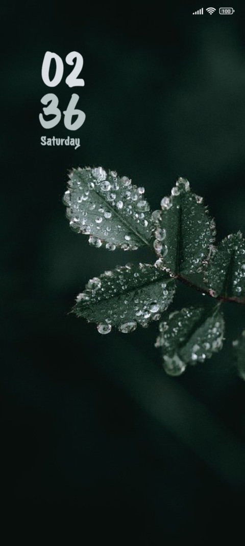 Leaf Line screenshot
