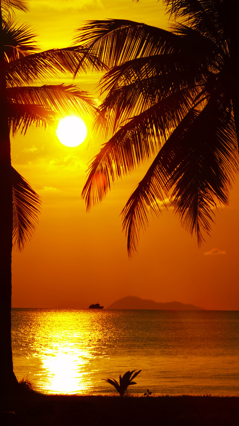 Sunrise and sunset screenshot
