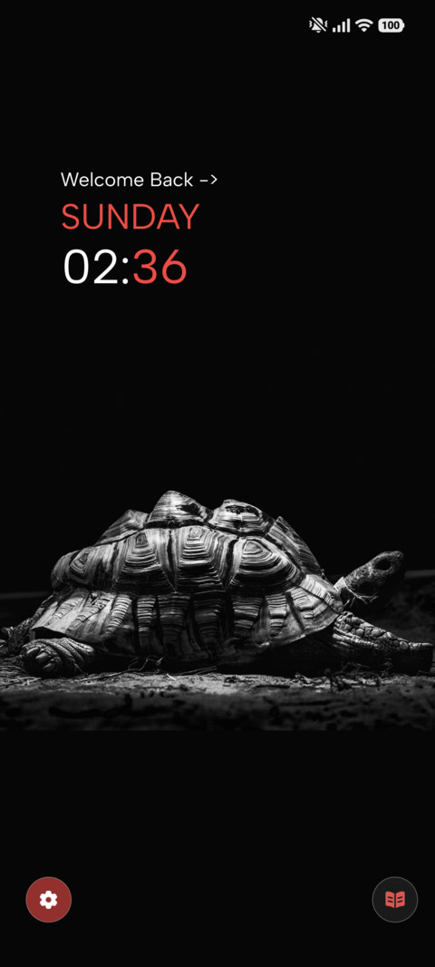Silent Turtle screenshot