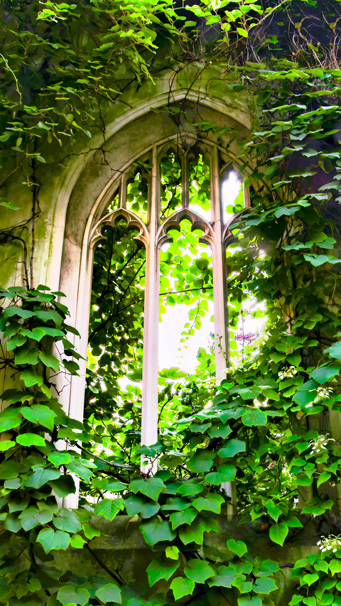 Magnificent windows screenshot