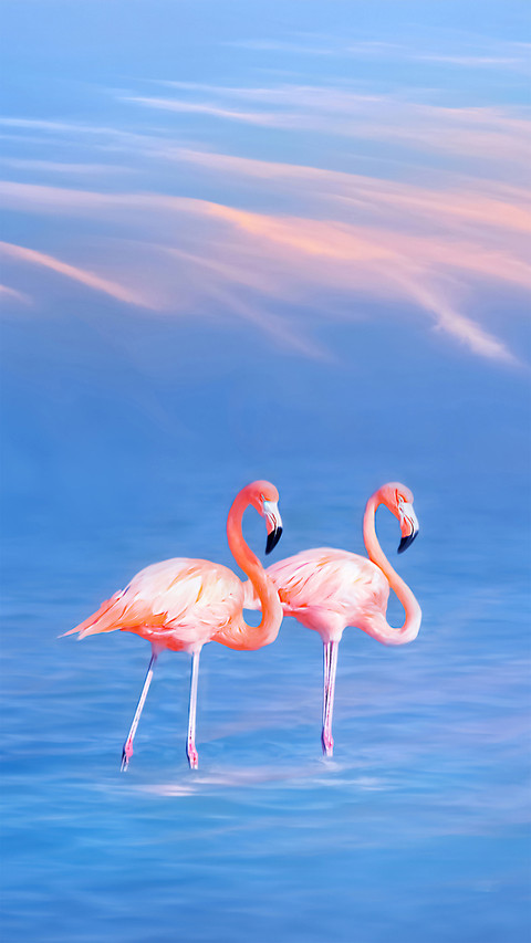 生物多样性-锐景创意 screenshot