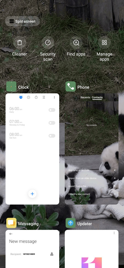 panda screenshot