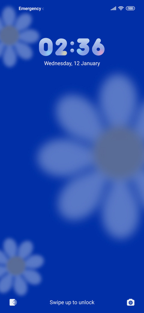 Beautiful Flower screenshot