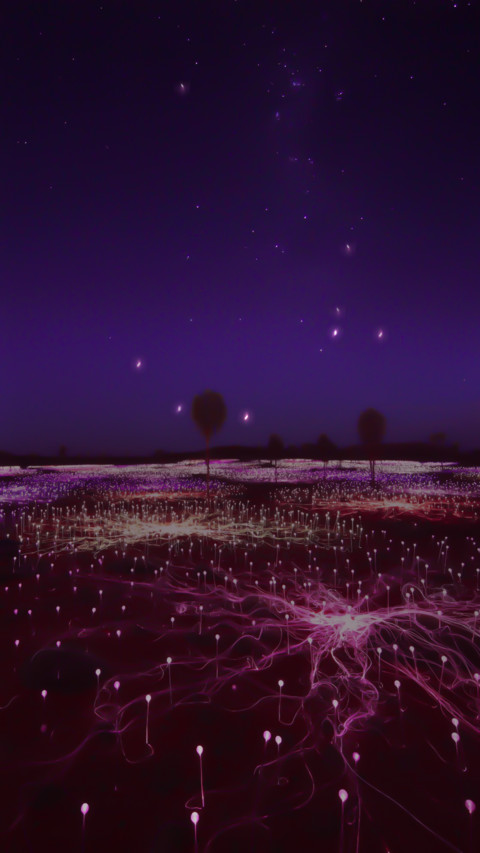 萤星璀璨 screenshot