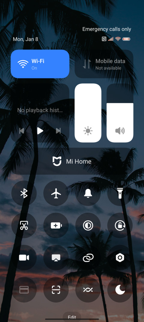 Coconut romance screenshot