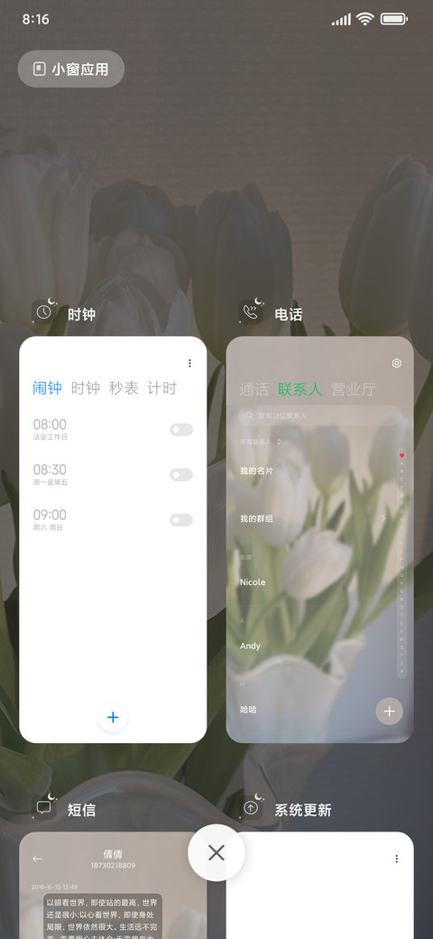 浪漫郁金香组件 screenshot
