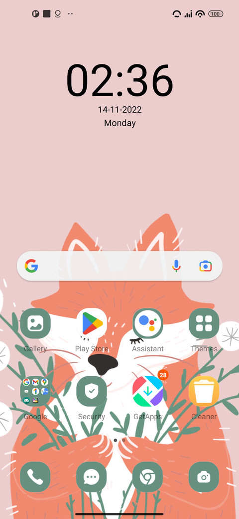 Cute Fox screenshot