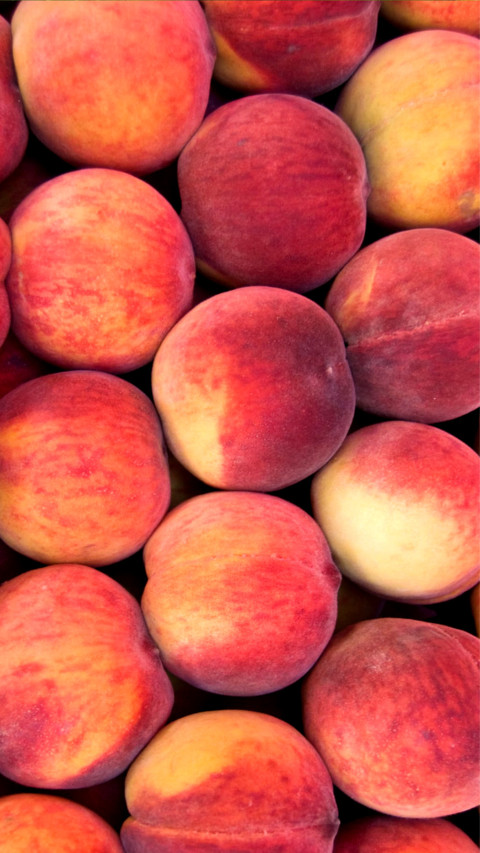 fruit screenshot