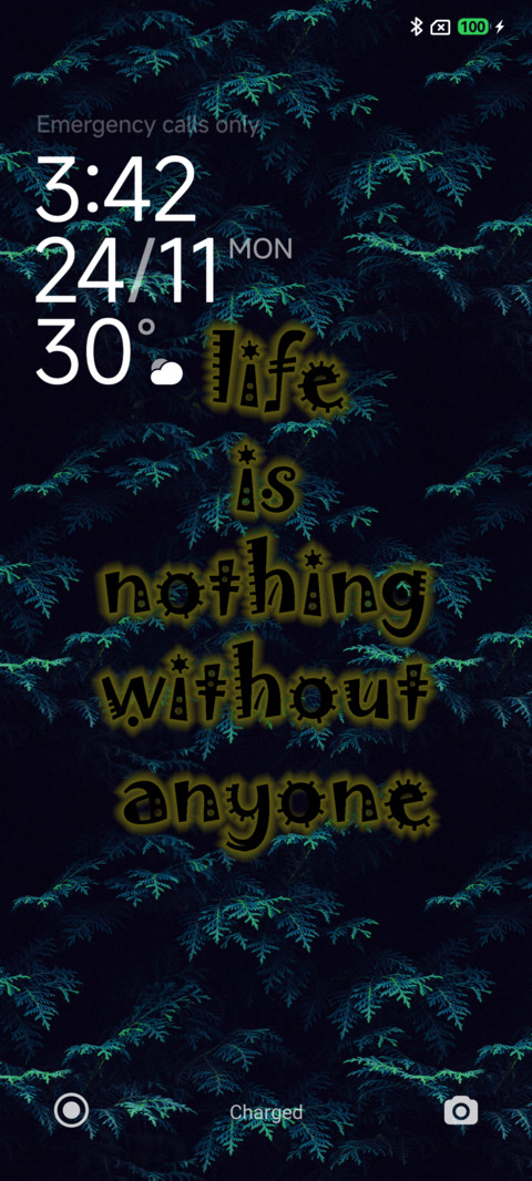 LIFE screenshot