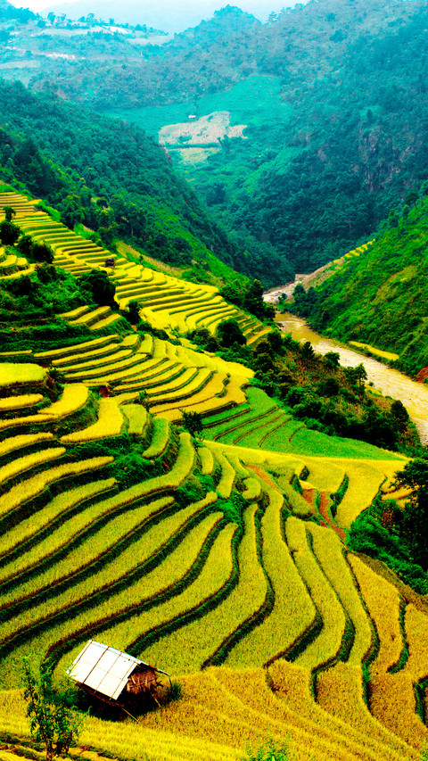 Beautiful Terraces screenshot