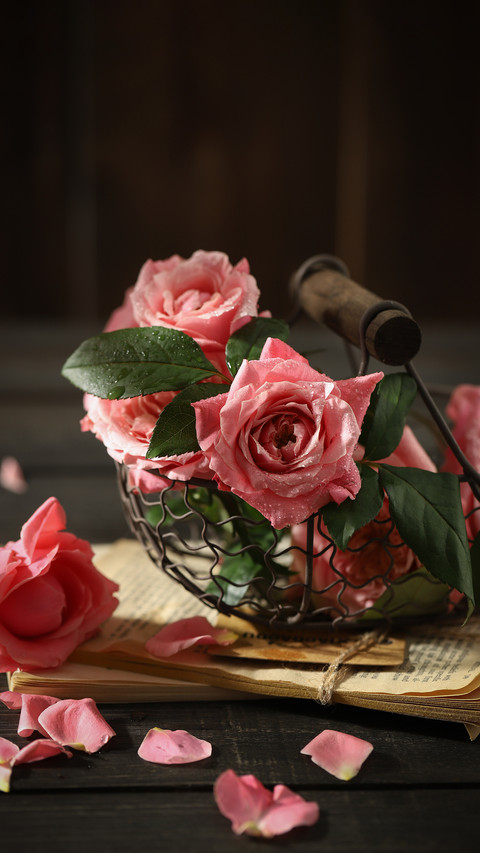 The fragrance of roses never stops screenshot