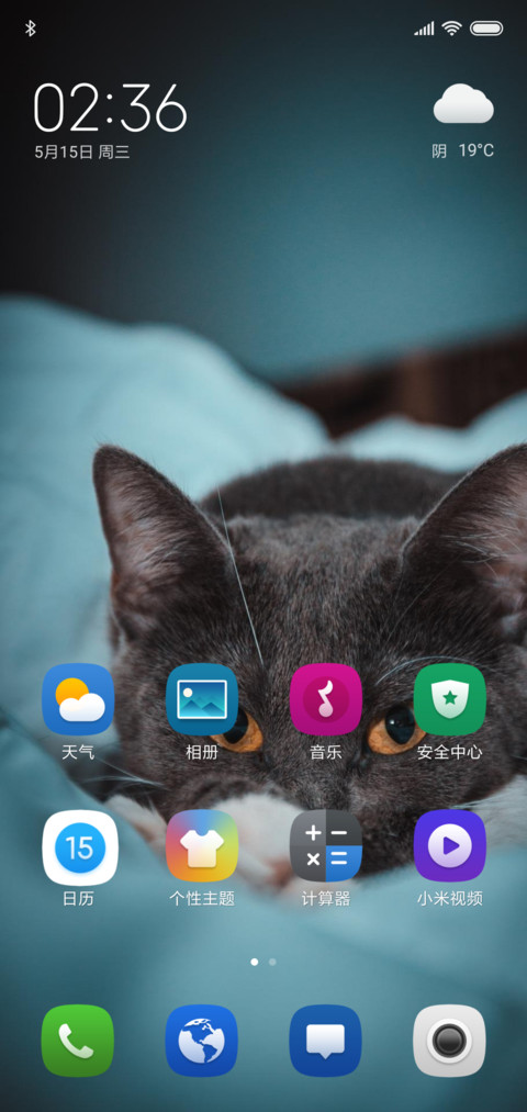 一只猫 screenshot