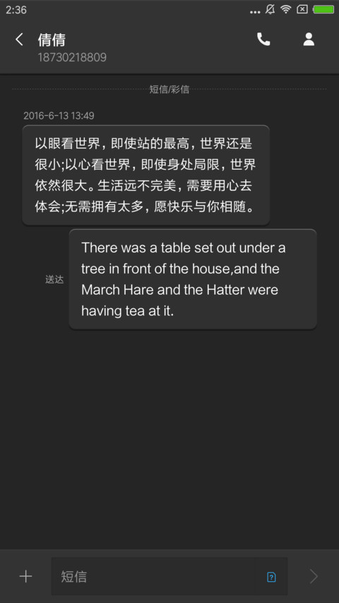 商务风 screenshot