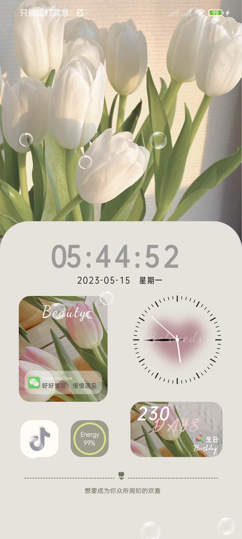 浪漫郁金香组件 screenshot