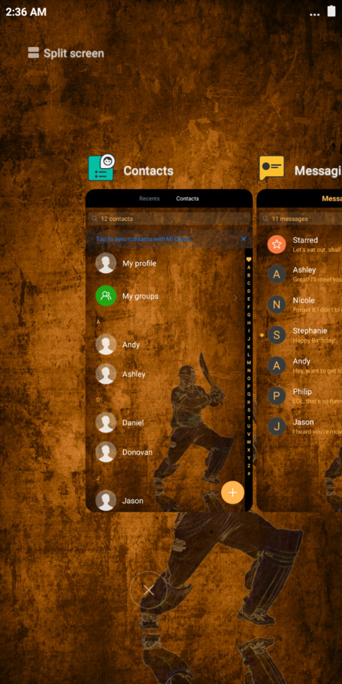 Csk_Cricket screenshot