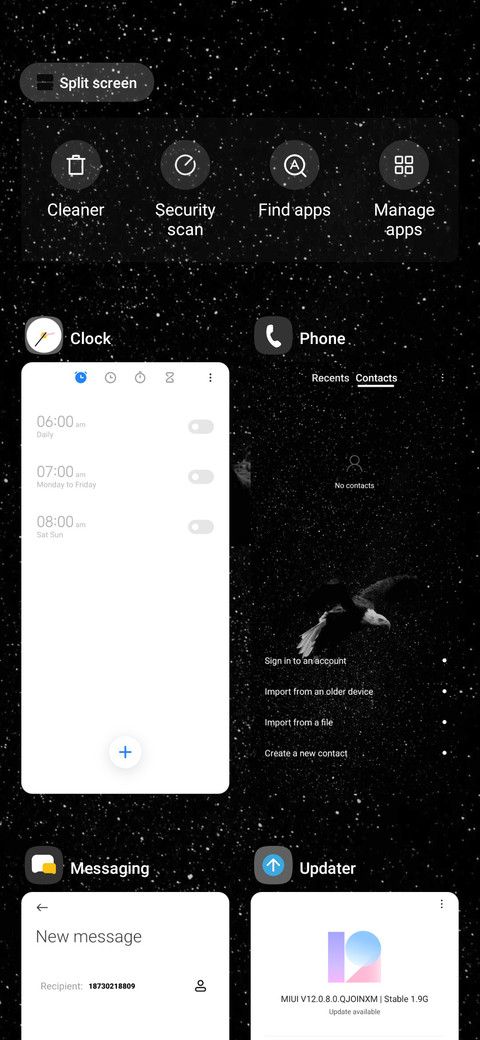 Starry Eagle screenshot