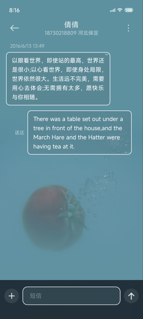 ins夏日旋律 screenshot