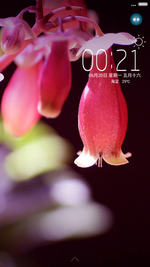 好评  花骨朵 screenshot
